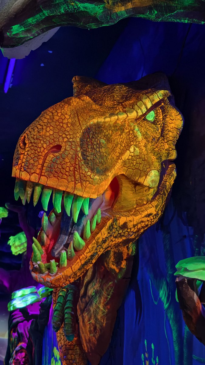 Teeepppp 🐘 tweet media