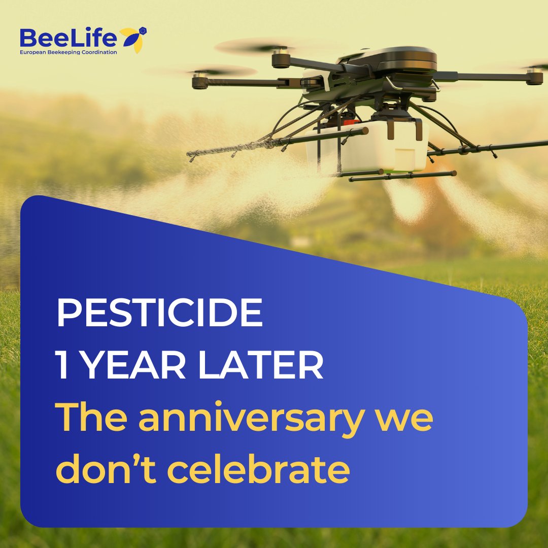 𝐎𝐧𝐞 𝐲𝐞𝐚𝐫 and 1 day ago the European Parliament voted against the Sustainable Use Regulation (#SUR).
𝐖𝐞 𝐬𝐭𝐚𝐧𝐝 𝐟𝐢𝐫𝐦 𝐢𝐧 𝐬𝐮𝐩𝐩𝐨𝐫𝐭𝐢𝐧𝐠 𝐚 𝐬𝐢𝐧𝐠𝐥𝐞 𝐤𝐢𝐧𝐝 𝐨𝐟 #𝐟𝐨𝐨𝐝: 𝐟𝐨𝐨𝐝 𝐭𝐡𝐚𝐭 𝐢𝐬 #𝐬𝐚𝐟𝐞 𝐟𝐨𝐫 𝐞𝐯𝐞𝐫𝐲𝐨𝐧𝐞.