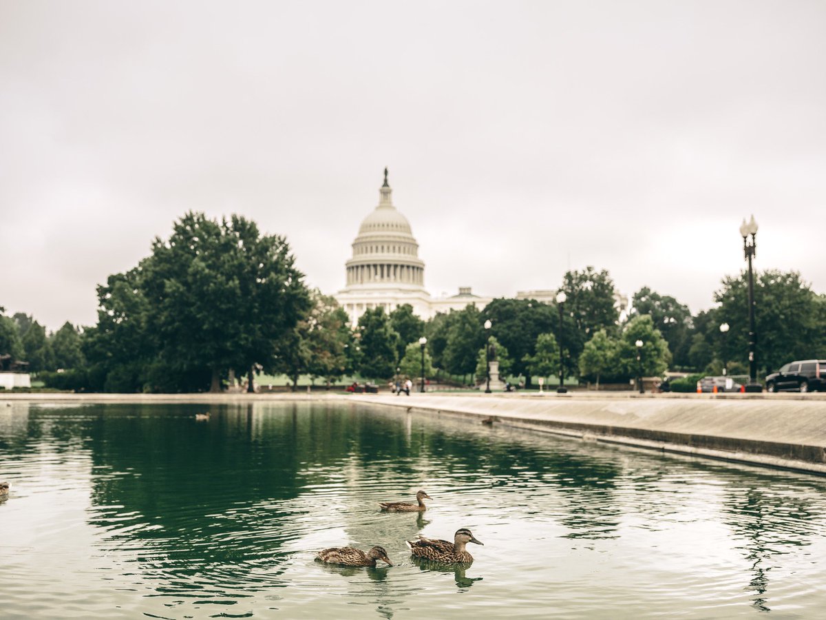 Every year I try to look back and pick my favorite photos of the year. It is kind of a miserable process but it is what it is. Here are a few: