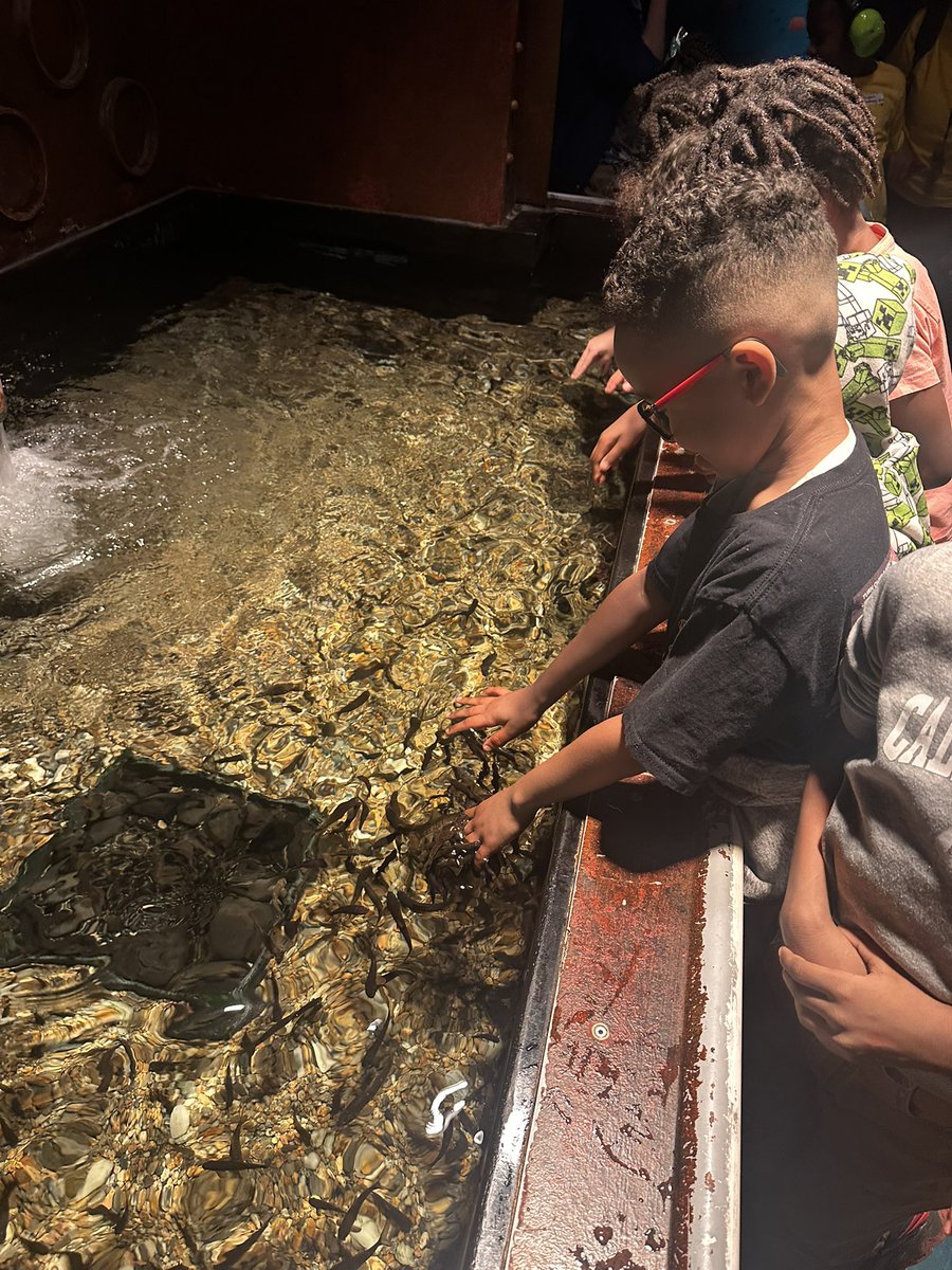 Armstrong_HSD's tweet photo. Ms. Everett’s first-grade students had a fantastic time exploring the wonders of the St. Louis Aquarium! This special field trip was an attendance incentive for students who achieved 90% or higher attendance in the second quarter. Way to go! #TheSTRONG💪 https://t.co/hFYz4iBpZ8