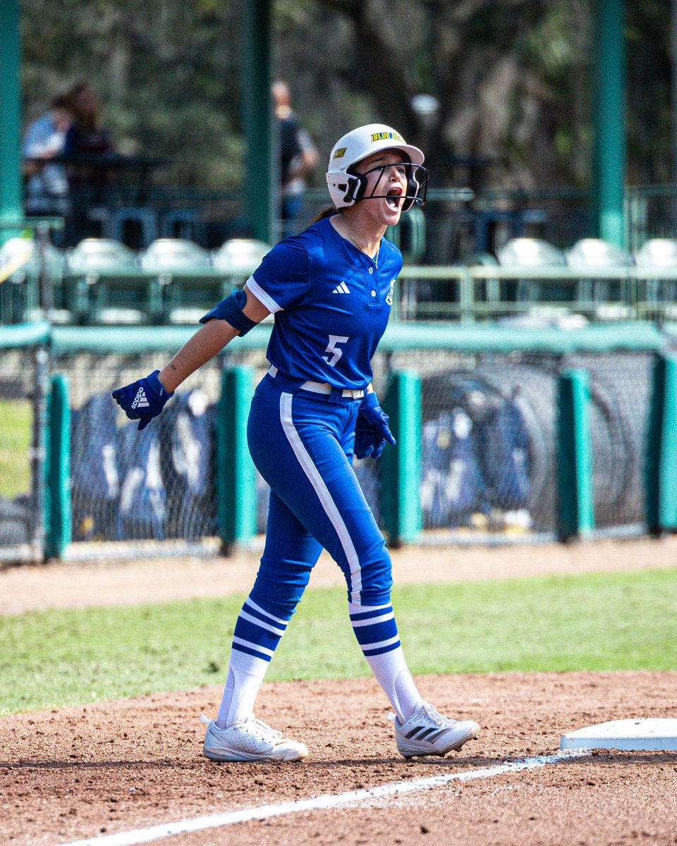 Delaware Softball tweet media