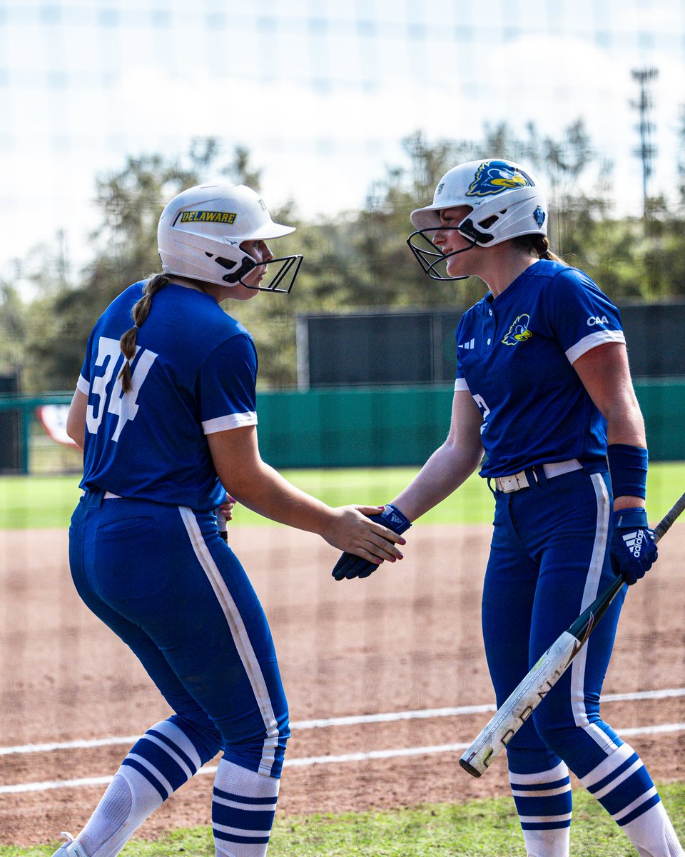 Delaware Softball tweet media
