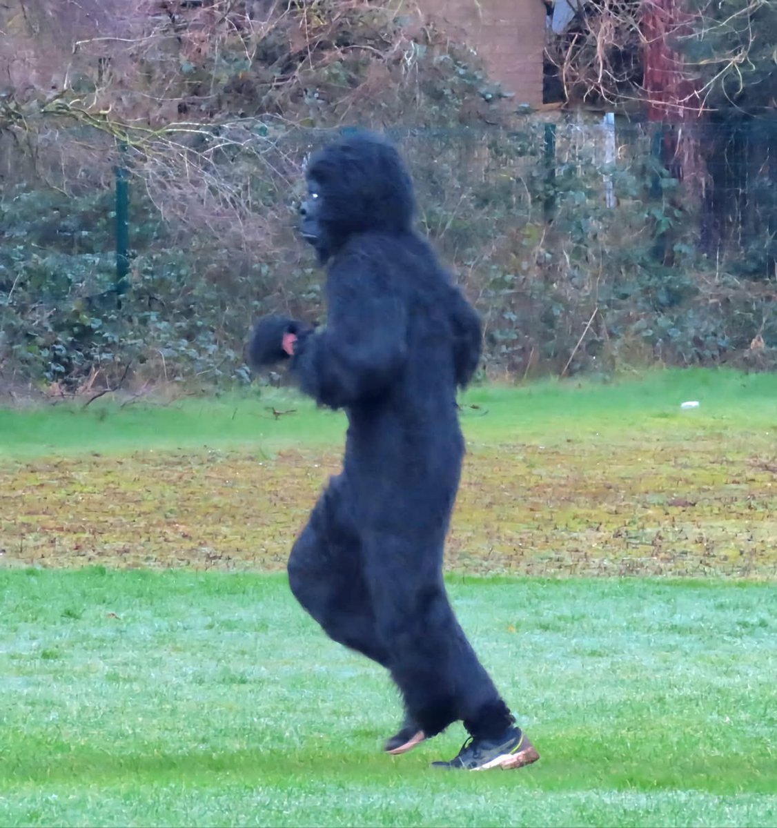 North Walsham parkrun tweet media