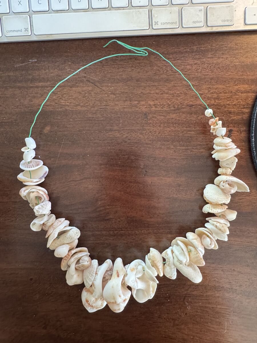 Brook Ave STEAM tweet media