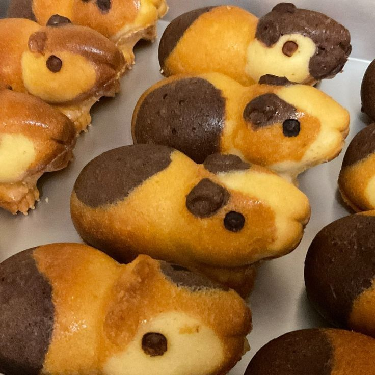 daily_dolce's tweet photo. Guinea pig shaped cakes https://t.co/rB1zdbLhwg