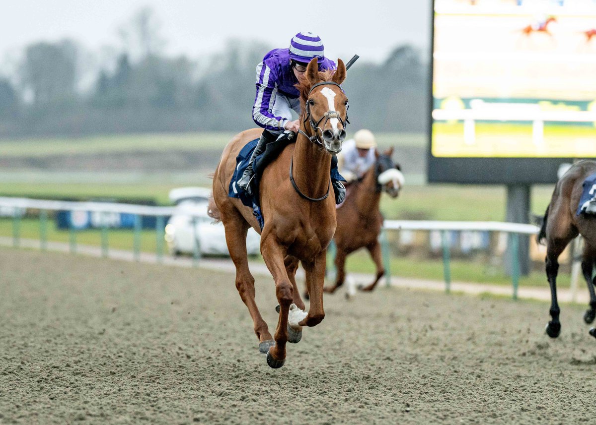 Lingfield Park (@lingfieldpark) on Twitter photo Race 8 Winner - BECKER BILK
Ridden By - Luke Morris
Trained By - Jim & Suzi Best
Owned By - If Only Partnership
Photography by - <a href="/dcoolimages/">Darren Cool Images</a> Race 8 Winner - BECKER BILK
Ridden By - Luke Morris
Trained By - Jim & Suzi Best
Owned By - If Only Partnership
Photography by - <a href="/dcoolimages/">Darren Cool Images</a>