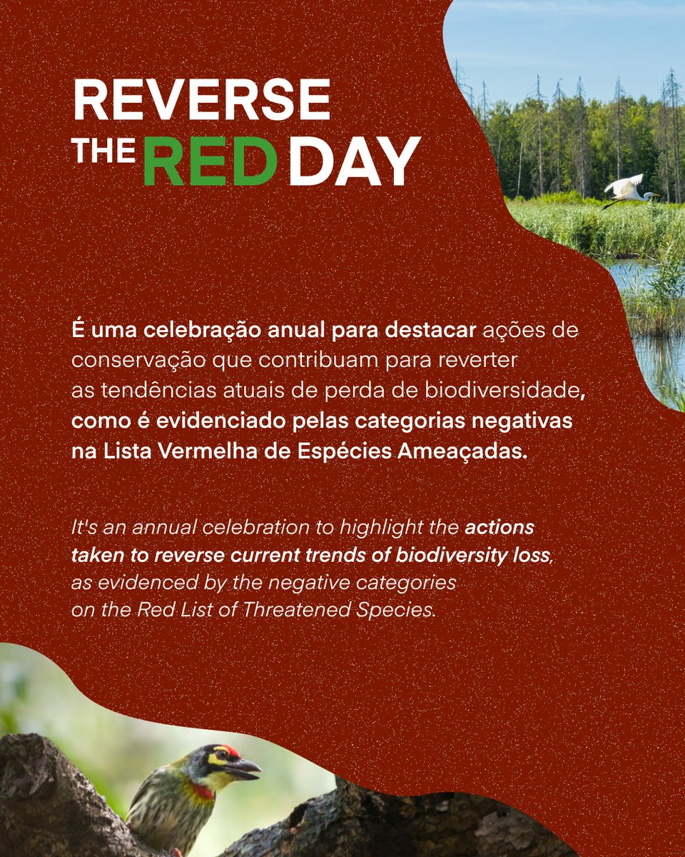 InvasionS_cibio's tweet image. 🌍🥳 Celebrate the #ReversetheRedDay by supporting conservation efforts reversing biodiversity loss and decreasing the spread of biological invasions!🌾🐞

Photos by Scotty Turner,  Coralie Meurice, Sonika Agarwal and Nina Luong in Unsplash
