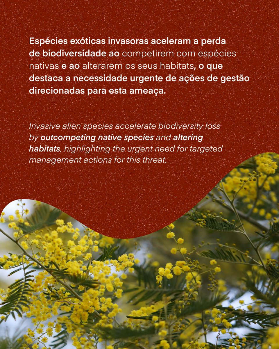 🌍🥳 Celebrate the #ReversetheRedDay by supporting conservation efforts reversing biodiversity loss and decreasing the spread of biological invasions!🌾🐞

Photos by Scotty Turner,  Coralie Meurice, Sonika Agarwal and Nina Luong in Unsplash