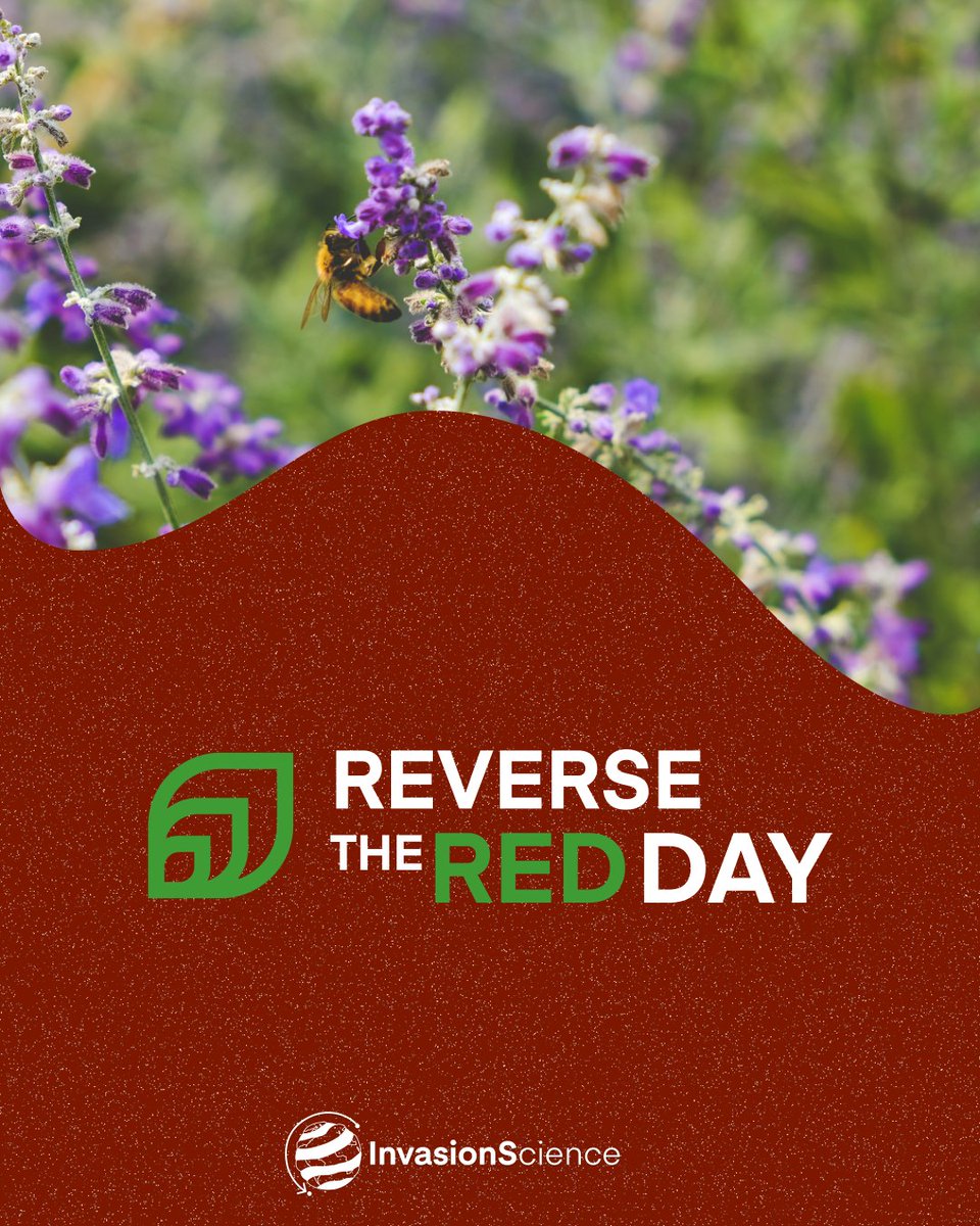InvasionS_cibio's tweet image. 🌍🥳 Celebrate the #ReversetheRedDay by supporting conservation efforts reversing biodiversity loss and decreasing the spread of biological invasions!🌾🐞

Photos by Scotty Turner,  Coralie Meurice, Sonika Agarwal and Nina Luong in Unsplash