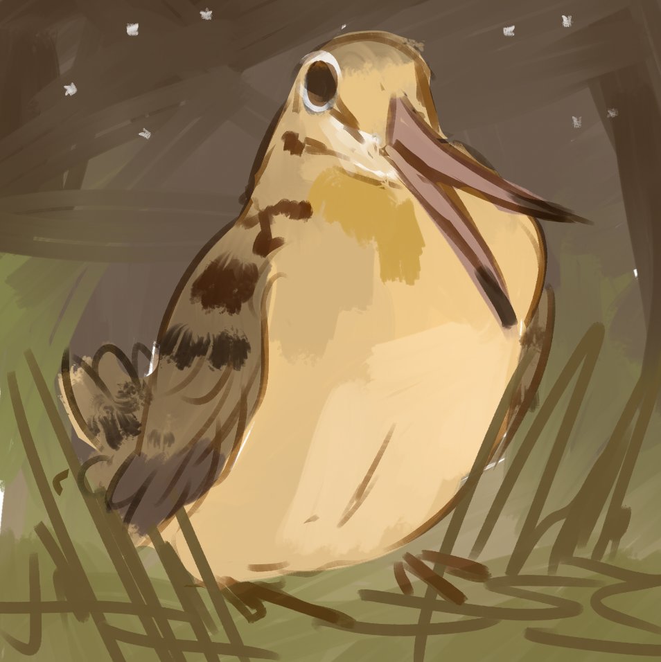 cookiedoves's tweet photo. sketch of the day: peeent https://t.co/vjumiPNG8H