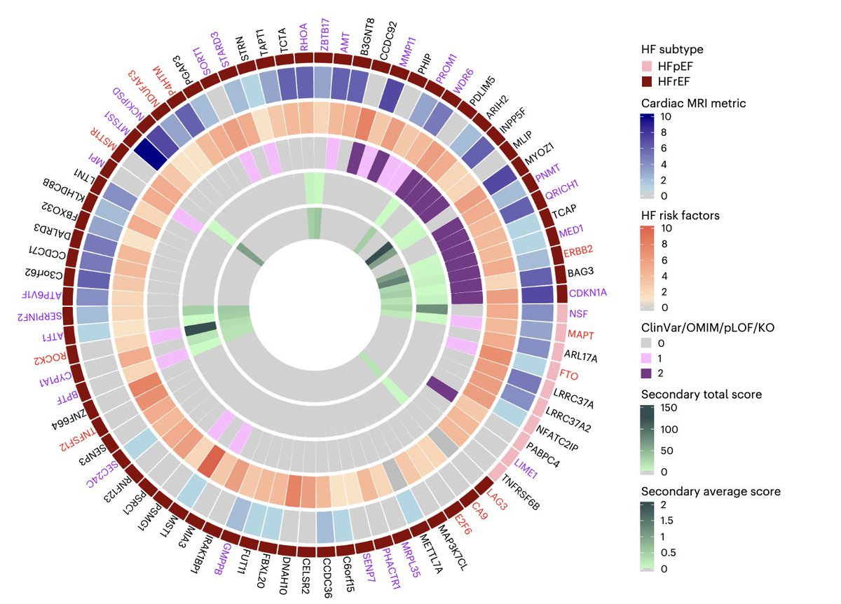 Transcriptome- &amp; proteome-wide association Mendelian randomization study for heart failure in MVP data (N=420,000)🧬

Promising data on potential causal proteins
👉70 for HFrEF
👉10 for HFpEF

A really comprehensive example of follow-up assessment of drug target potential👇1/3