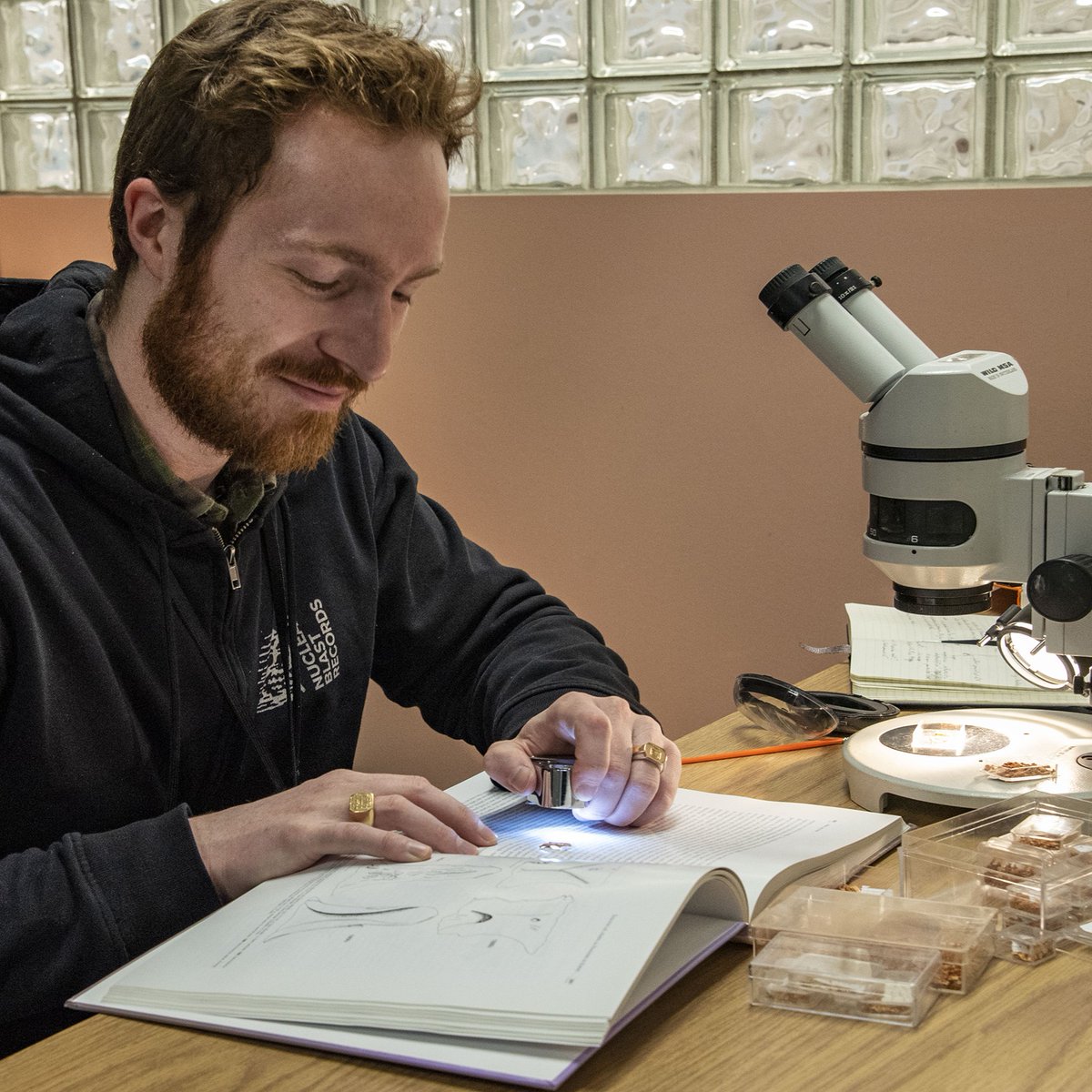 Royal Tyrrell Museum of Palaeontology tweet media