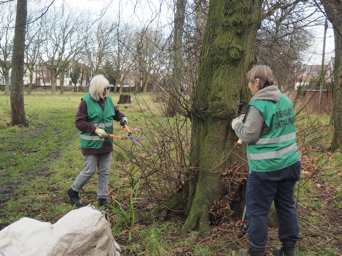 Central Park tweet media