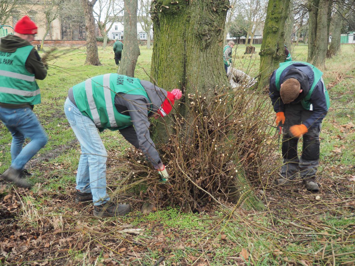 Central Park tweet media