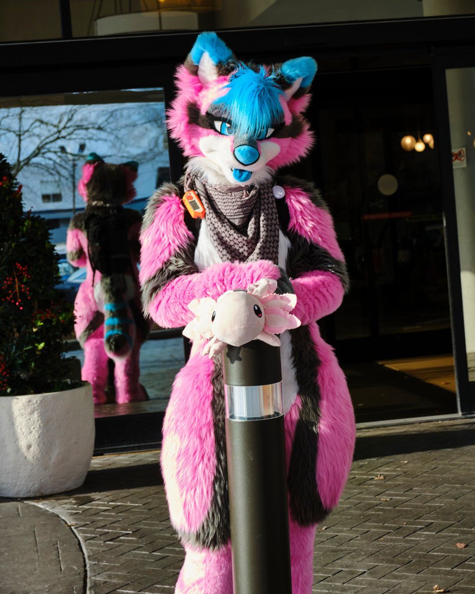 ✨️🎀 UwU 🎀✨️ 
#furry #fursuitfriday #fursuit