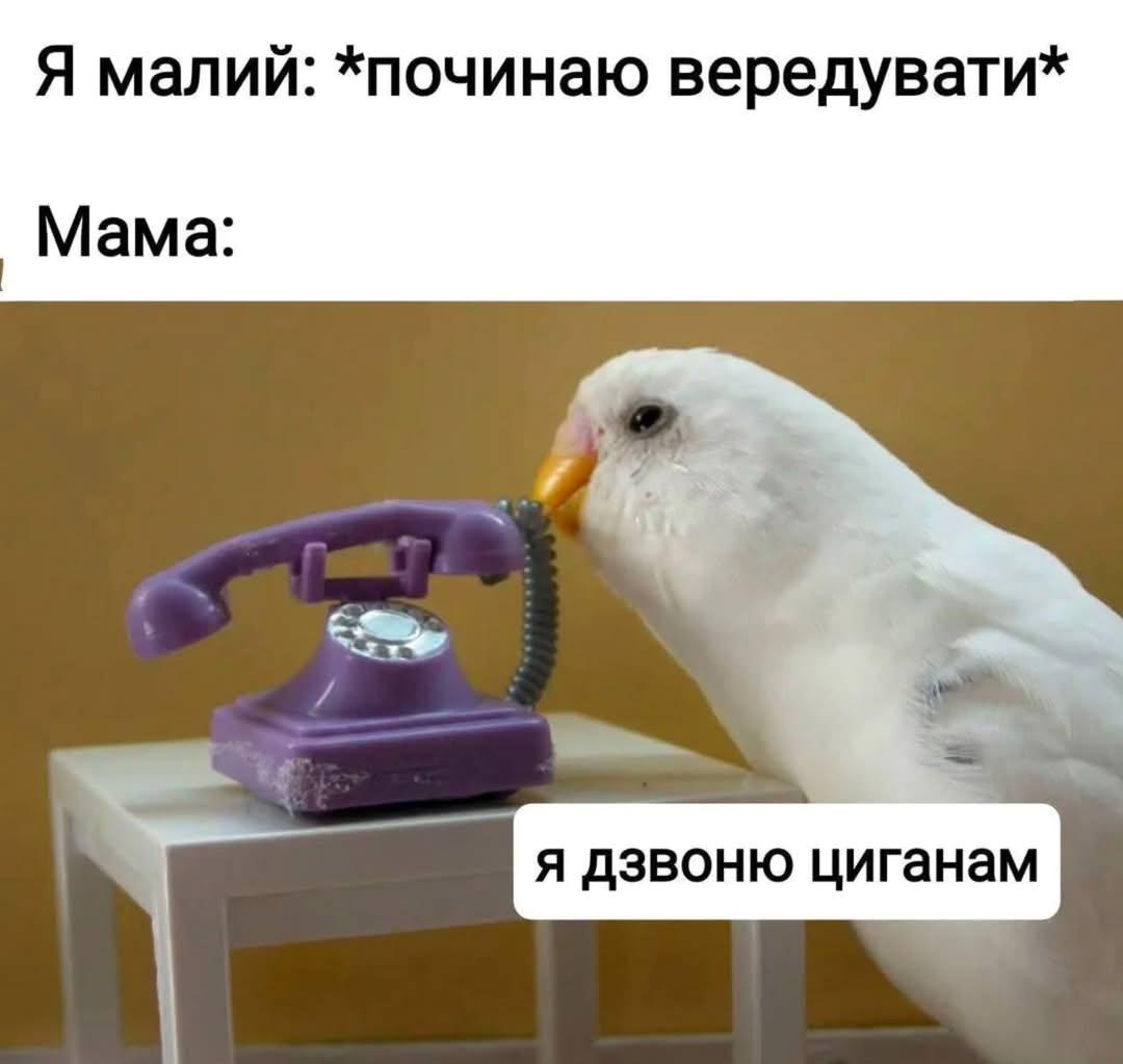 andatramusahi's tweet photo. В кого було? https://t.co/zh2ezd65qX