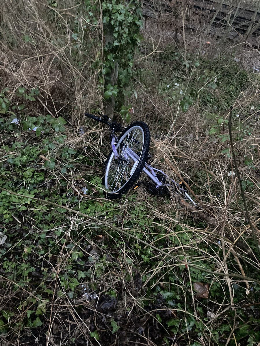 Jack Skillen tweet media