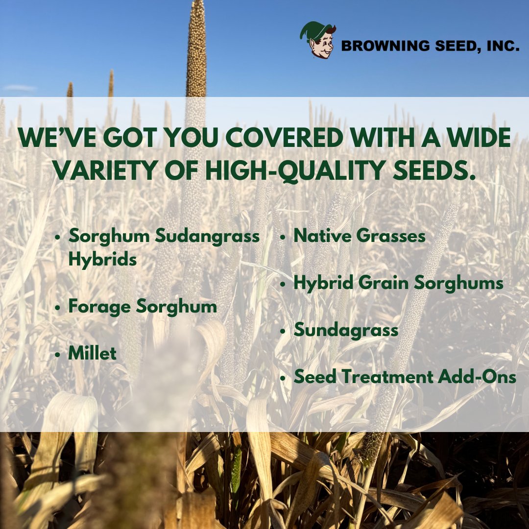 BrowningSeed's tweet photo. For more info give us a call at 806-293-5271 https://t.co/vduGQJb3kq