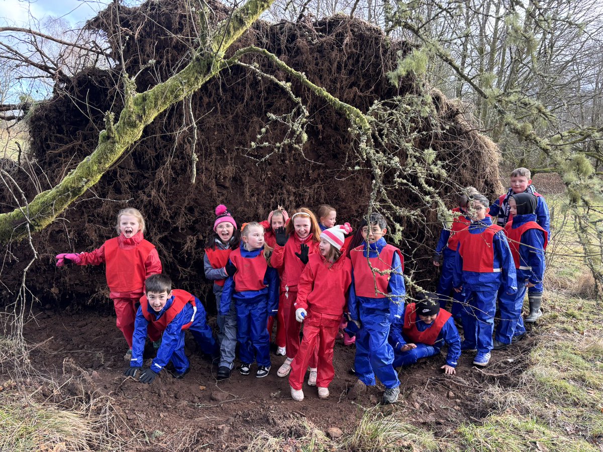 Baljaffray Primary tweet media