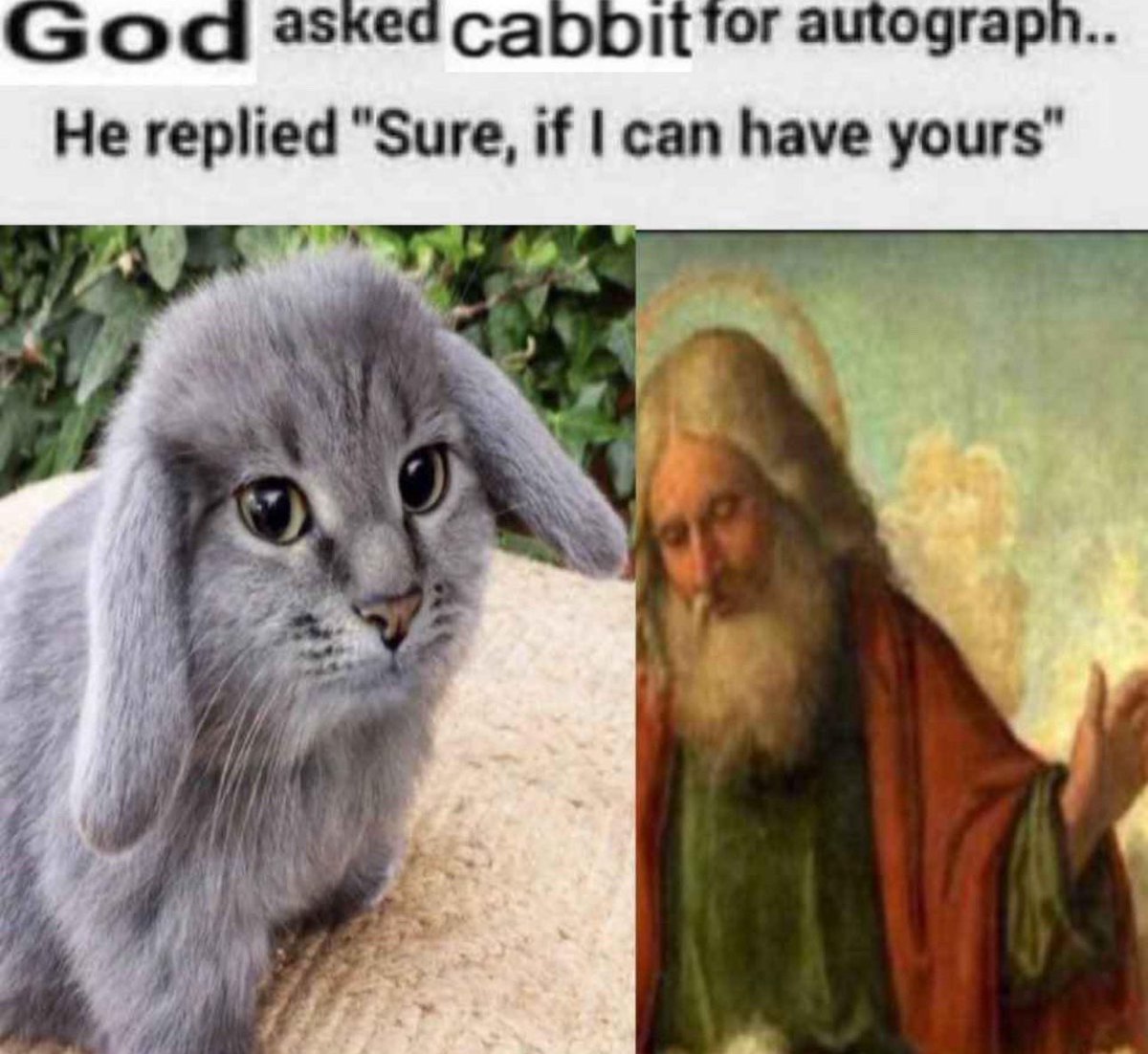 BrianGardenfoot's tweet photo. real
#cabbit #cabbits https://t.co/DZoX1MlOCX