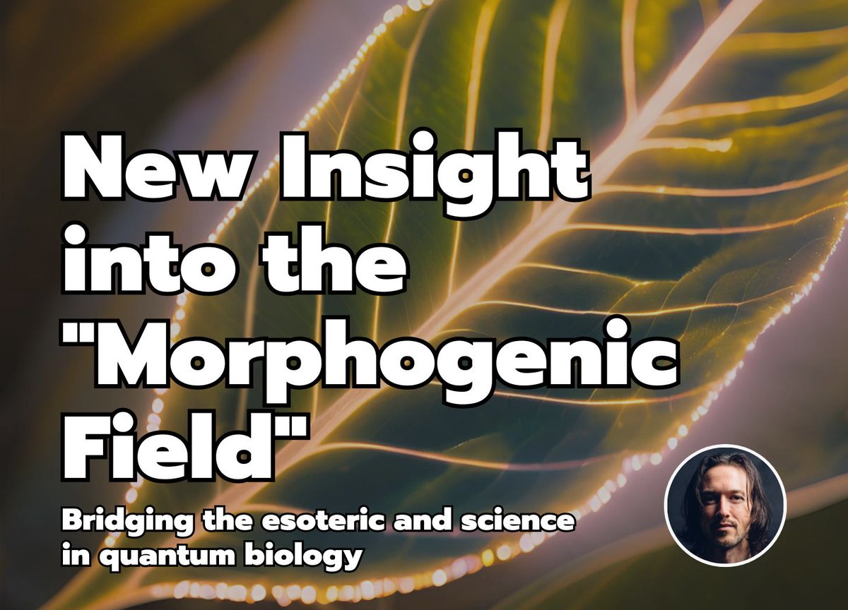 READ: New Insight into the "Morphogenic Field", by <a href="/BrendanDMurphy/">Brendan D. Murphy</a> open.substack.com/pub/officialbr…