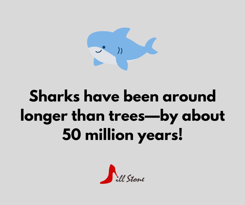 jstonemeetings's tweet image. 🦈🌳 #FridayFunFact #NaturalHistory