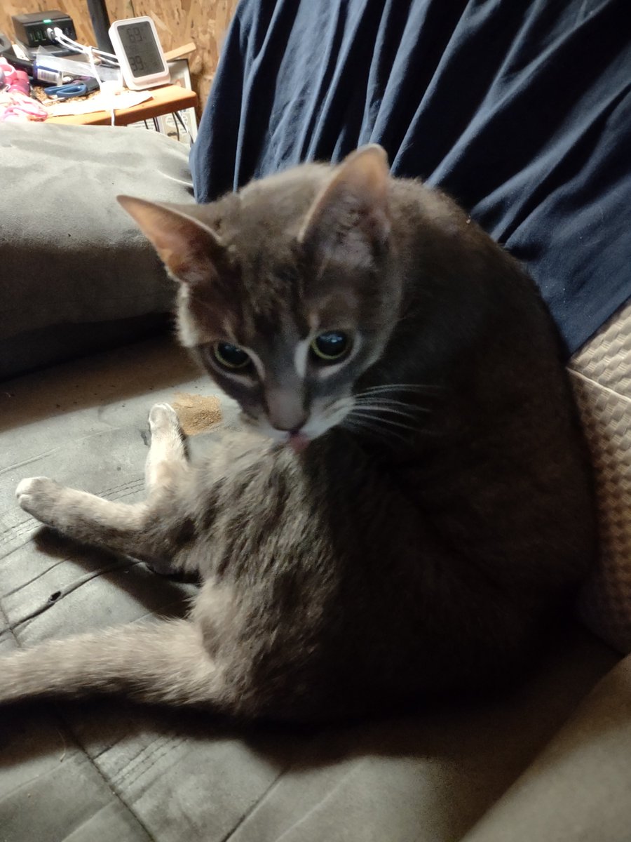 Miss Uno is judging you for not eating foods she likes.