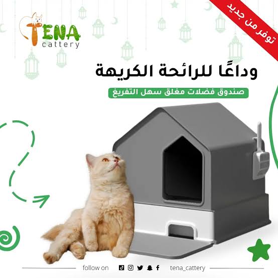 tenacattery's tweet photo. تنظيف صندوق الرمل: قم بتنظيف صندوق الرمل يوميًا وإزالة الفضلات لمنع انتشار الروائح الكريهة والأمراض

#الاتحاد_التعاون #النصر_الفيحاء #القطيف #جدة_الأن https://t.co/8E82ypaYIG