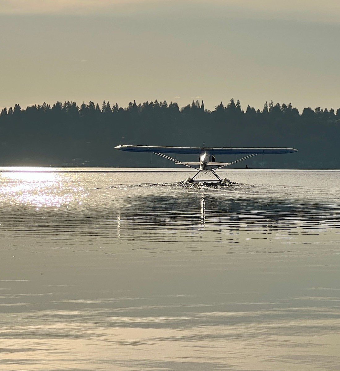 KenmoreAir's tweet image. Gliding into the weekend.

pc:  @otterdrivernw  
 
#kenmoreair #seaplanes #flightinstruction #pipercub