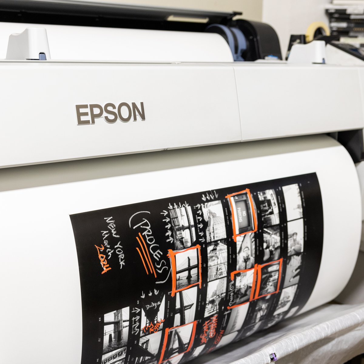 The Icon tweet media