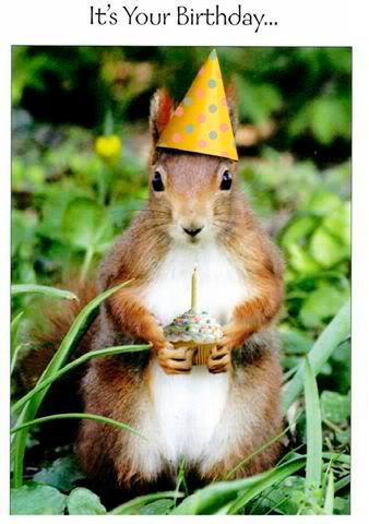 wmsquirrel's tweet image. Happy Birthday @williamandmary! #wmCharterDay I could not think of a better environment in which to live my life!