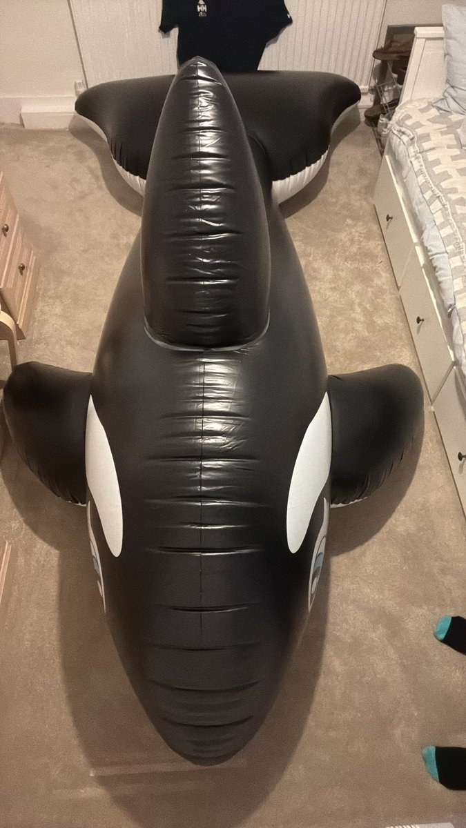 WhaleSqueak's tweet photo. I need a bigger room! https://t.co/RFdqhJyREy