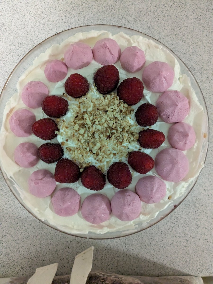 lellierennie's tweet photo. Made a #vegan trifle. Raspberry jelly, Marks and Spencer #PlantKitchen victoria sponge cake, #Ambrosia custard, #Elmlea cream, raspberry meringue, raspberries and hazelnuts. Is very yummy ๐ https://t.co/fDN9u6DDGe