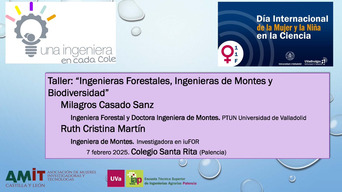 AMITCyL's tweet image. ¡@AMITCyL en Palencia! Hoy viernes día 7 de febrero de 2025 estuvimos en el Colegio Santa Rita, de la mano de Milagros Casado Sanz y Ruth Cristina Martín, Ingenieras Forestales 🍂 y Doctoras Ingenieras de Montes 🪵 .
