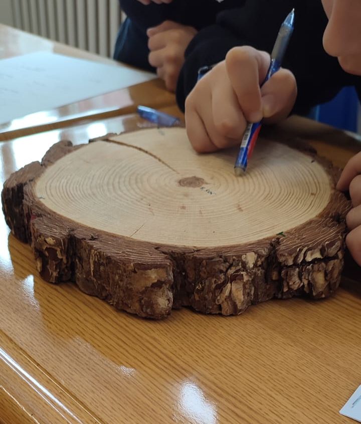 AMITCyL's tweet image. ¡@AMITCyL en Palencia! Hoy viernes día 7 de febrero de 2025 estuvimos en el Colegio Santa Rita, de la mano de Milagros Casado Sanz y Ruth Cristina Martín, Ingenieras Forestales 🍂 y Doctoras Ingenieras de Montes 🪵 .