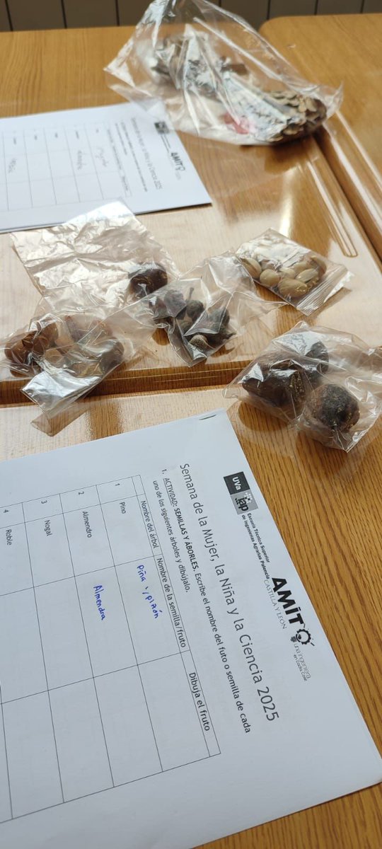 AMITCyL's tweet image. ¡@AMITCyL en Palencia! Hoy viernes día 7 de febrero de 2025 estuvimos en el Colegio Santa Rita, de la mano de Milagros Casado Sanz y Ruth Cristina Martín, Ingenieras Forestales 🍂 y Doctoras Ingenieras de Montes 🪵 .