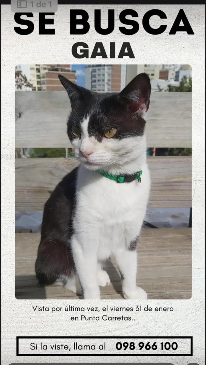 Se busca !! Contacto en imagen.