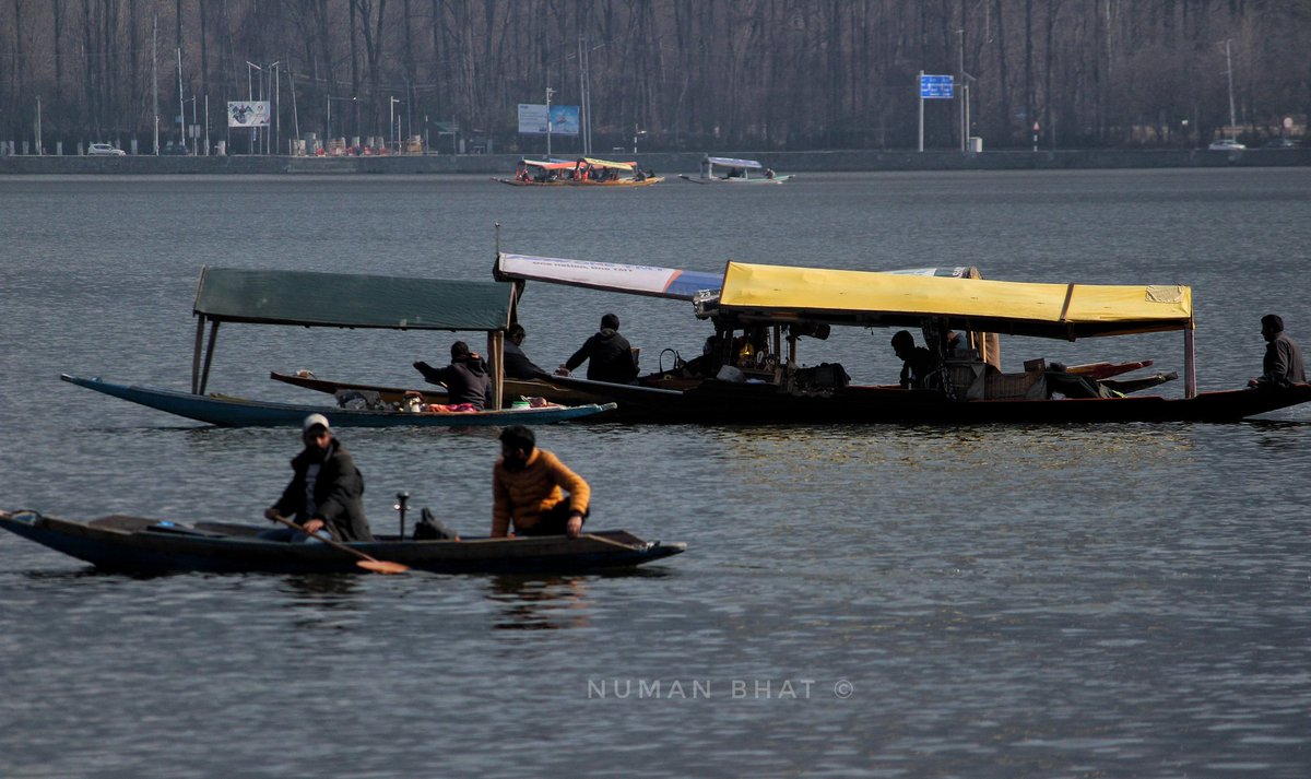 A Stunning Winter Day view of Dal Lake in Srinagar.

📸: <a href="/NumanBhat1/">Numan Bhat</a> 

#kashmir #srinagar #dallake #sunny #winter #houseboat