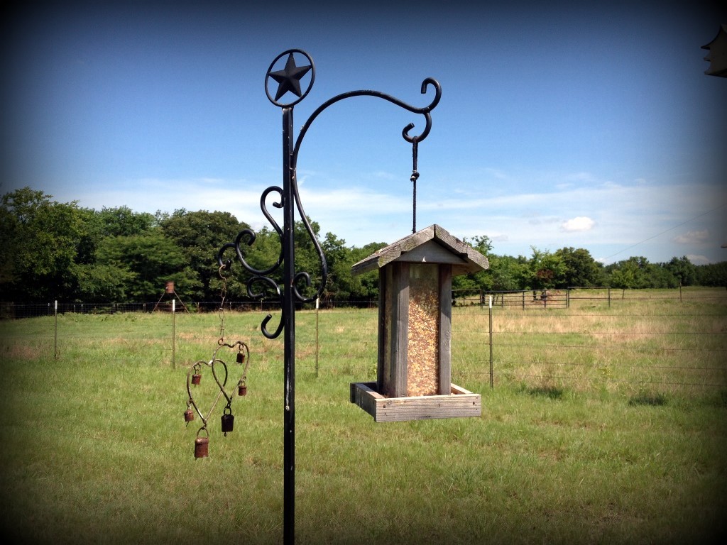 Tx_Homesteader's tweet image. I save so much money filling the wild bird feeders with chicken scratch instead!
.
texashomesteader.com/homestead-hack… 
.
.
#TexasHomesteader #HomesteadHack