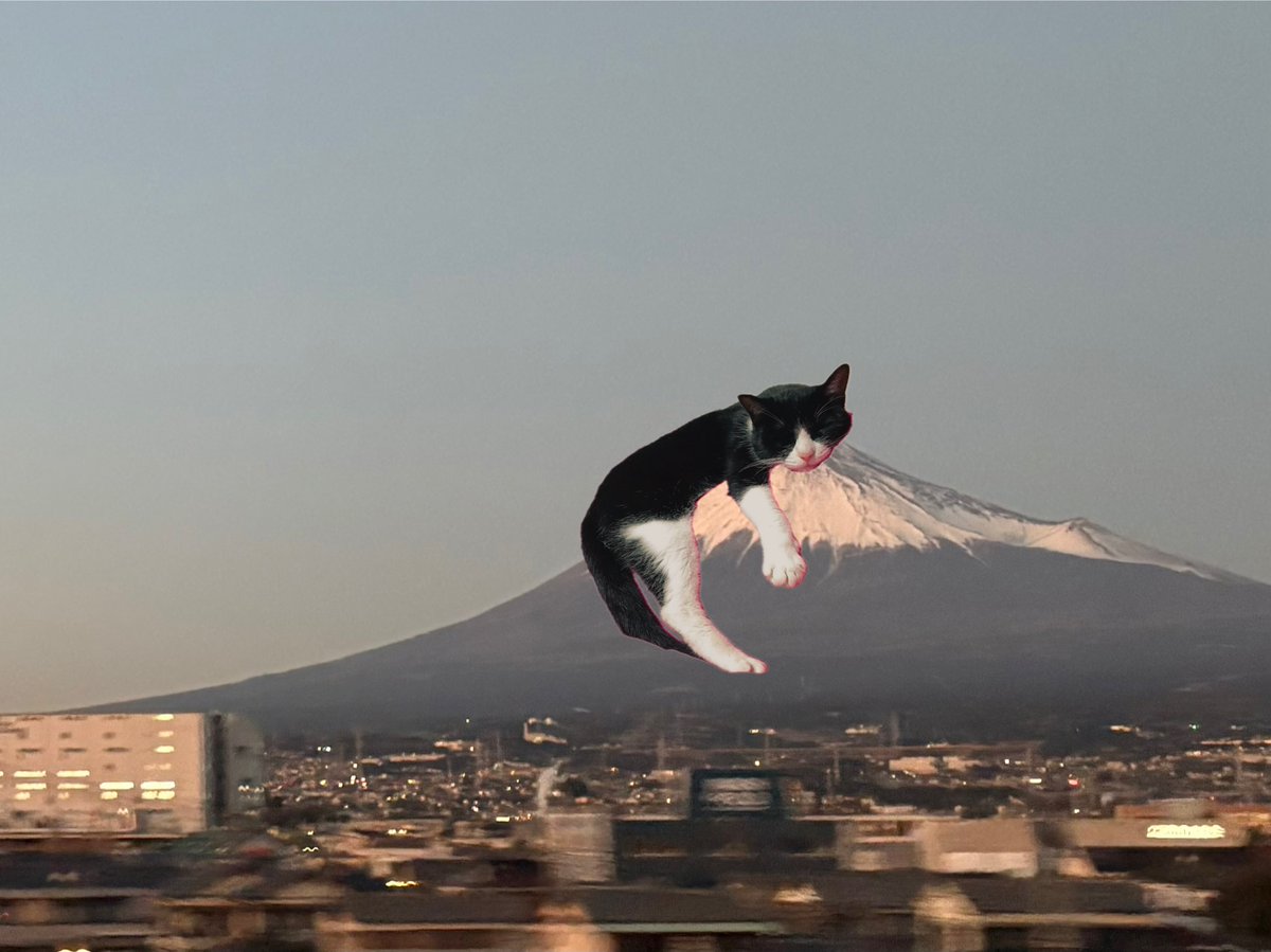 梅竹 :||×2 (@plum_bamboo612) / Posts / X