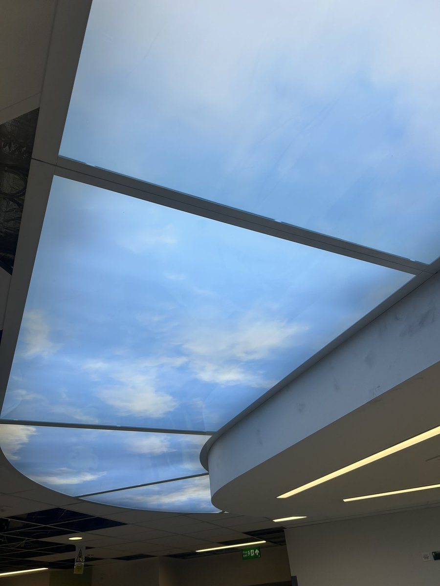 Tracy Procter tweet media