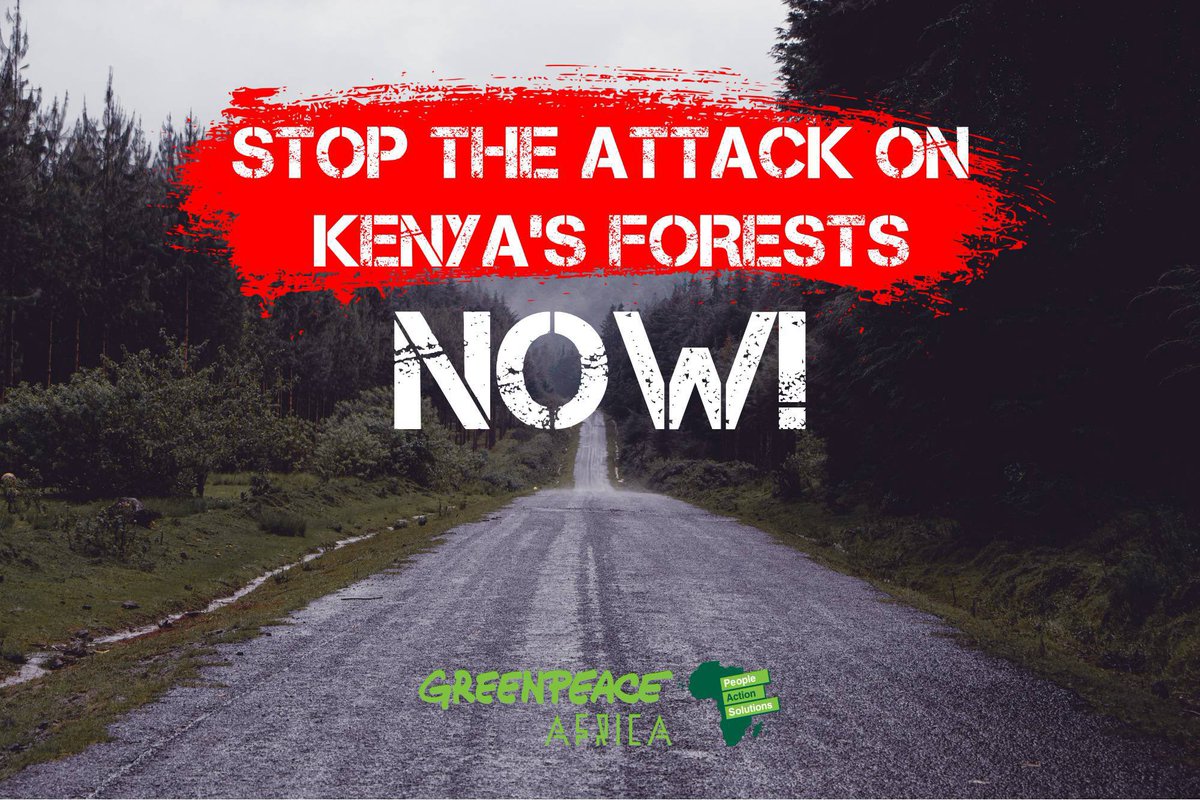 Greenpeaceafric's tweet photo. Iconic Kenyan forests making up almost 10 times the size of Nairobi are under threat! 🤯

We will not permit the destruction of this precious ecosystem. 

Join us to tell the government of Kenya to stop forest destruction 👉 https://t.co/99xS2l7zXg https://t.co/J60pDQnLhB