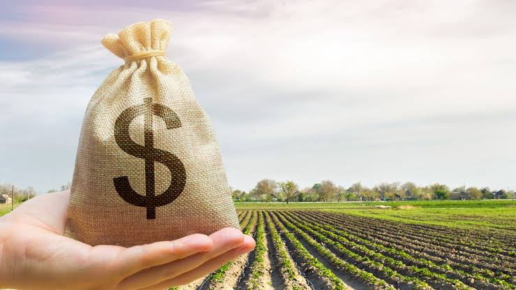 Tsogang3's tweet photo. Land is wealth.

Without land, you are NOTHING. https://t.co/bqXOUQPY3n