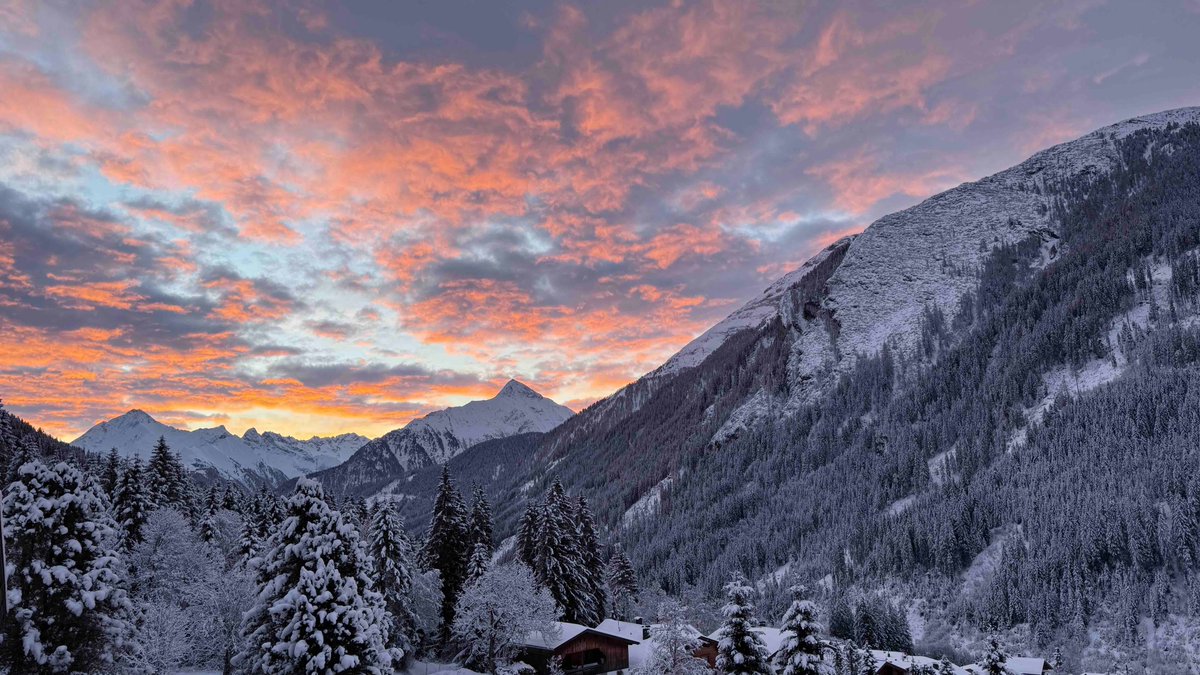 Miroslav Mirek Hazer tweet media