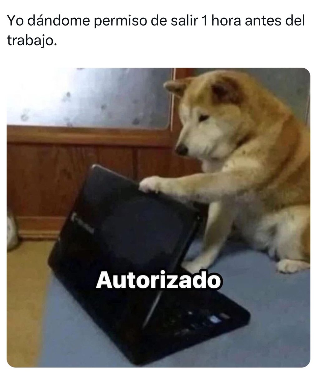 Yo este 
#ViernesdeChavorrucosconMiguel
<a href="/YODEBUENAS/">Miguel Barrientos Mx</a> 
<a href="/ClubChavorrucos/">ClubChavorrucos</a>