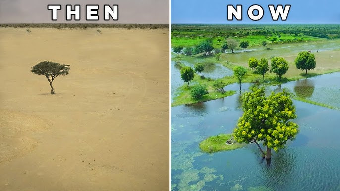 Imagine turning a desert into an oasis.

Israel engineers saved Israel by making the dessert bloom.

But what they did NEXT defied nature and ended water .

This is a story of the impossible: