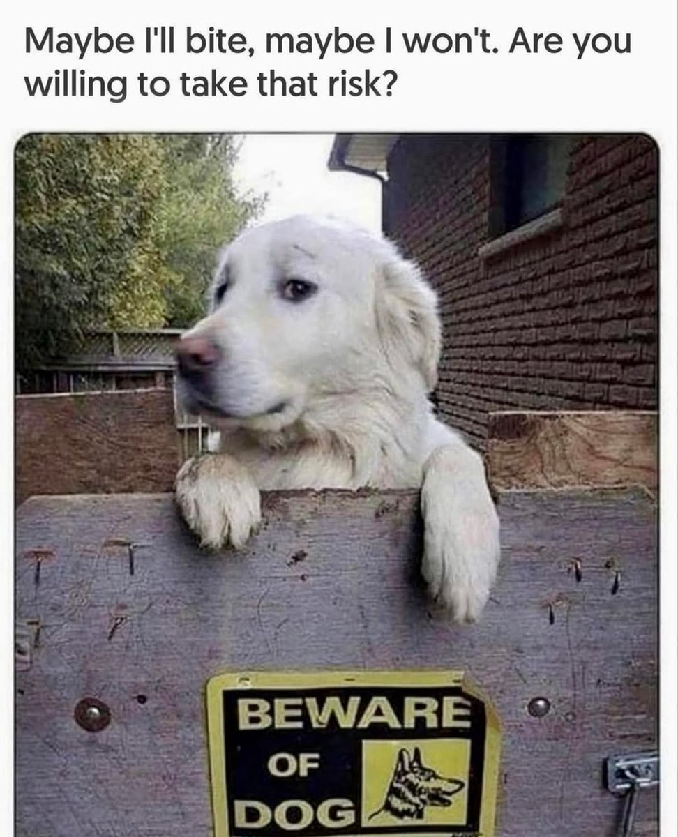 Maybe you'll win, maybe you won't. Are you willing to take that risk? 🤨