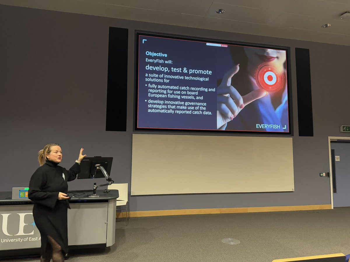 EVERYFISH tweet media