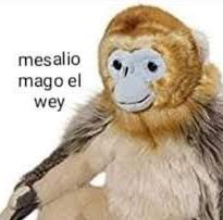 Maiky _Z tweet media