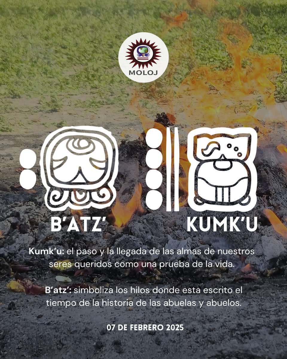 asociacionmoloj's tweet image. #Batz 🐵| Estamos agradecidas con los hilos que hemos forjado para ir tejiendo nuestras redes y alianzas.🔥🧶

#tejer 
#agradecer 
#espiritualidadmaya